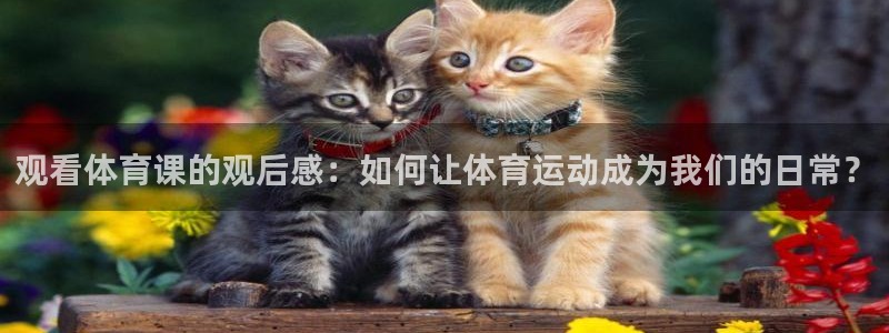 观看体育课的观后感：如何让体育运动成为我
